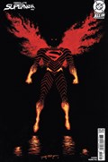 ABSOLUTE SUPERMAN #15D 