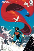 ABSOLUTE SUPERMAN #17C 