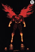 ABSOLUTE SUPERMAN #15-2nd-B 
