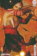 ABSOLUTE WONDER WOMAN #6B 