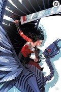 ABSOLUTE WONDER WOMAN #8-RI-B 