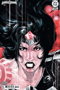 ABSOLUTE WONDER WOMAN #14D 