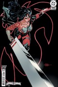 ABSOLUTE WONDER WOMAN #19D 