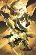 POWER RANGERS: PRIME #5-RI-E 