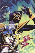 POWER RANGERS: PRIME #10-RI 