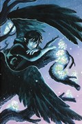 WYND: THE POWER OF THE BLOOD #3-RI 