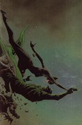 GREEN HORNET / MISS FURY #1-FOCRI 