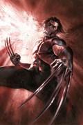 ULTIMATE WOLVERINE #1-RI-3rd 