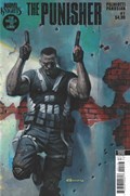 MARVEL KNIGHTS: PUNISHER #1-RI 