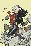 ROGUE STORM #2-RI-E 