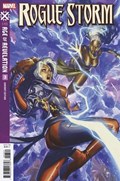 ROGUE STORM #3B 
