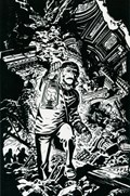 PLANET OF THE APES ANNUAL #1-RI-D 