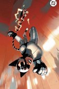 ABSOLUTE CATWOMAN #1E 