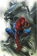 AMAZING SPIDER-MAN ANNUAL #1-RI-D 