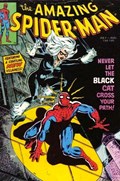 THE AMAZING SPIDER-MAN #194 