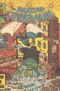 THE AMAZING SPIDER-MAN #212 