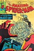 THE AMAZING SPIDER-MAN #204 