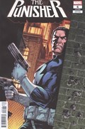 PUNISHER #6-RI 