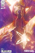 THE FURY OF FIRESTORM #4C 