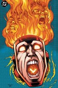 FURY OF FIRESTORM #1E 
