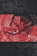 DAREDEVIL #4-RI-B 