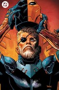 DEATHSTROKE, THE TERMINATOR #1E 