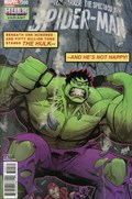 PETER PARKER: THE SPECTACULAR SPIDER-MAN #300B 