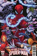 PETER PARKER: THE SPECTACULAR SPIDER-MAN #300-RI 