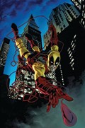DAREDEVIL #602-UNKN 