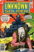 UNKNOWN SOLDIER #246B 