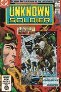 UNKNOWN SOLDIER #252 