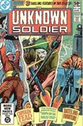UNKNOWN SOLDIER #254 
