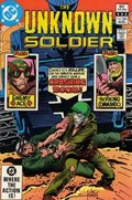 UNKNOWN SOLDIER #266 