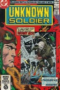 UNKNOWN SOLDIER #252C 