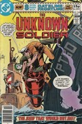 UNKNOWN SOLDIER #244C 