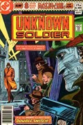 UNKNOWN SOLDIER #243B 