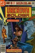 UNKNOWN SOLDIER #243 