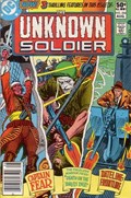 UNKNOWN SOLDIER #254B 