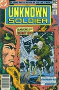 UNKNOWN SOLDIER #252B 