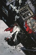THE SHADOW #1-RI-E 