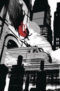 THE SHADOW #4-RI-C 