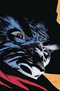 THE SHADOW #4-RI-B 