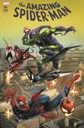 THE AMAZING SPIDER-MAN #799-CMXP-C 