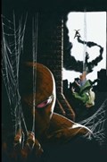 THE AMAZING SPIDER-MAN #799-CMXP-F 