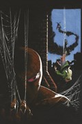 THE AMAZING SPIDER-MAN #799-CMXP-E 