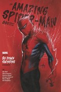 THE AMAZING SPIDER-MAN #800-RI 