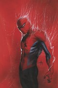 THE AMAZING SPIDER-MAN #800-RI-C 