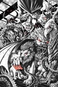 DARK ARK #1-MAXSC-B 