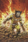 RETURN OF WOLVERINE #1-RI-E 