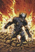 RETURN OF WOLVERINE #1-RI-G 